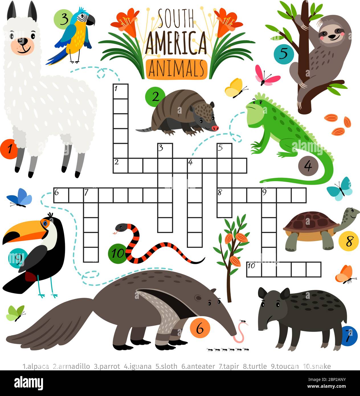 Kreuzworträtsel der amerikanischen Tiere. Südamerika Kinder Kreuzwortsuche Puzzle-Spiel mit Lama und Tukan, Ameisenbär und Faultier, Vektor-Illustration Stock Vektor
