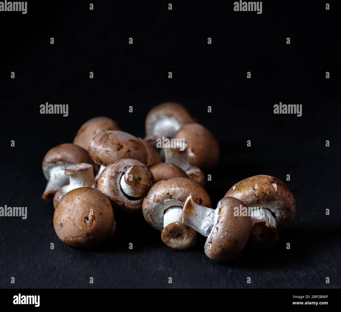 portobello Pilz Champignon isoliert auf schwarzem Hintergrund mit Kopierraum rohe vegane Nahrung Stockfoto