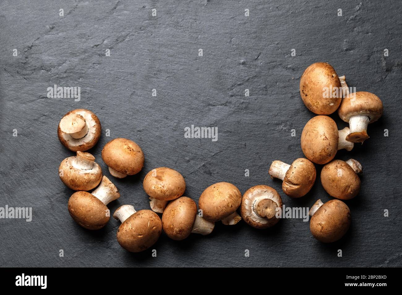 portobello Pilz Champignon isoliert auf schwarzem Hintergrund Draufsicht mit Kopierraum Stockfoto