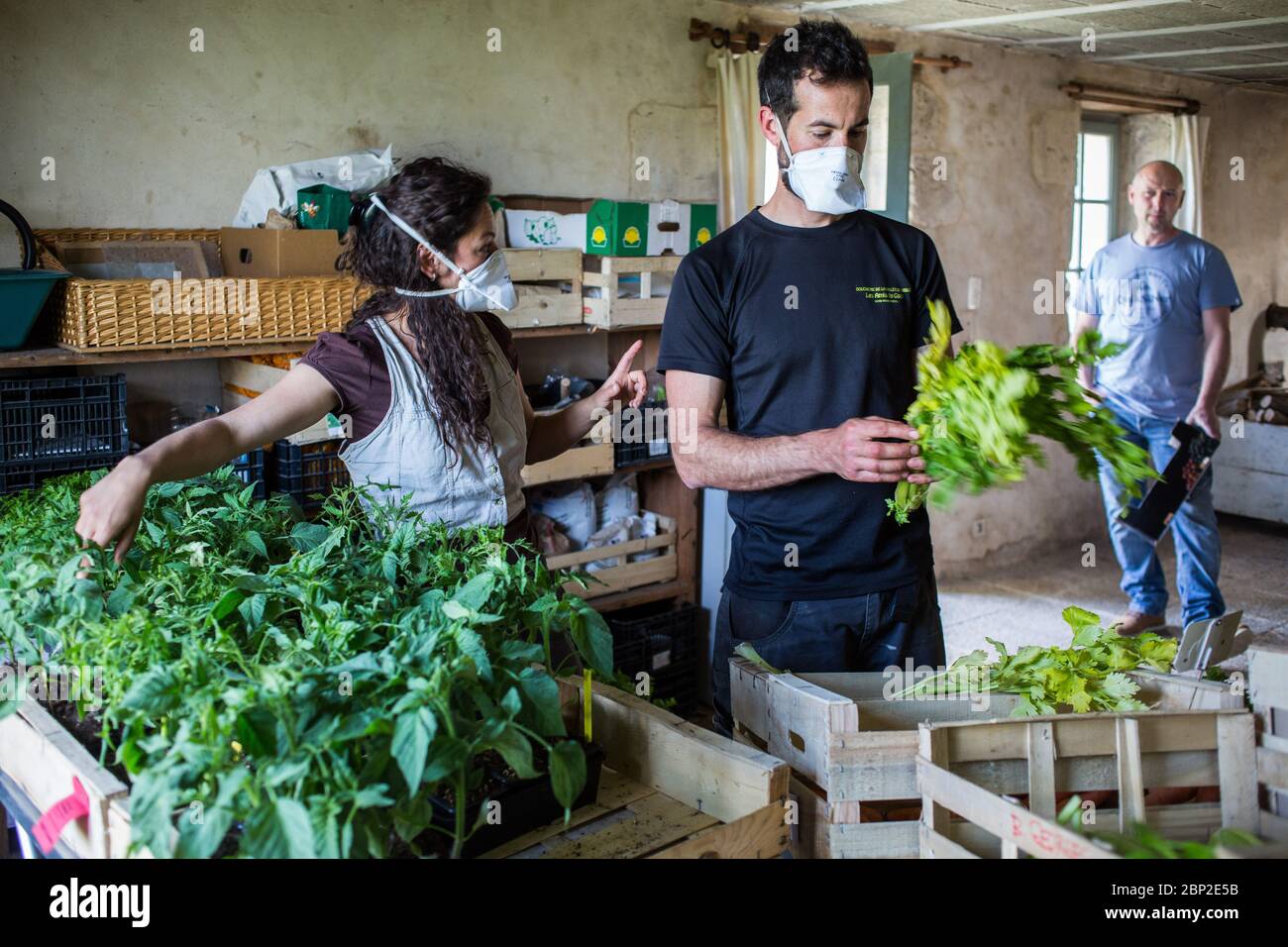 Verkauf von Bio-Lebensmitteln auf dem Bauernhof während der 2019-nCoV-Epidemie, Dordogne, Frankreich. Stockfoto