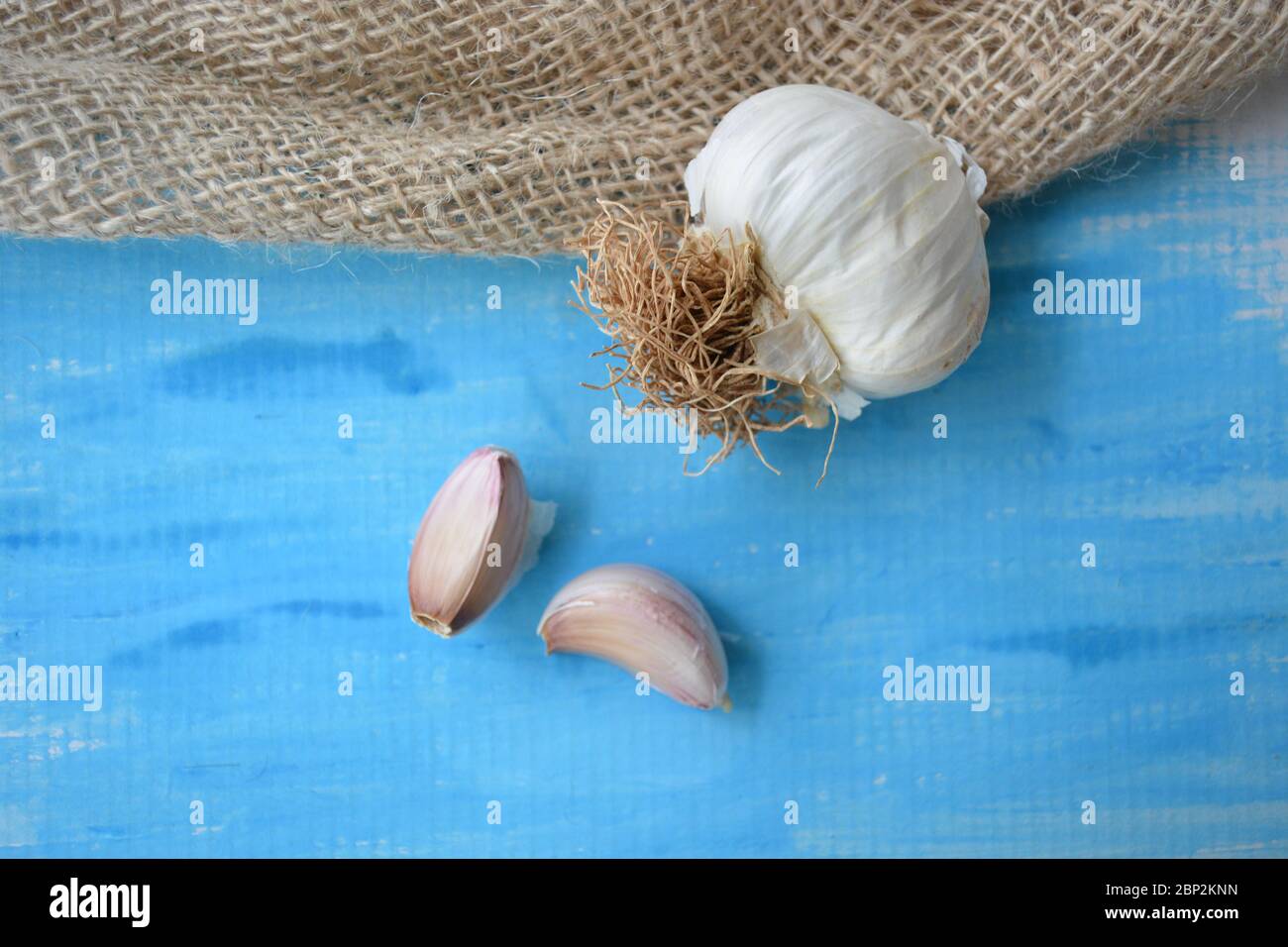 Knoblauch isoliert Gemüse Lebensmittel auf blauem Hintergrund Stockfoto