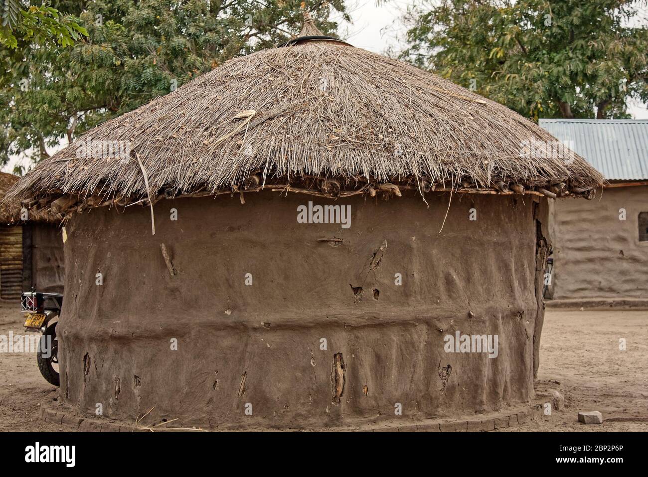 Maasai Dorf; kleines kreisförmiges Haus, Schlammhütte, einige unterliegende Zweige, die durch, reetgedecktes Dach, traditioneller Wohnraum, von Frauen gebaut, indig Stockfoto