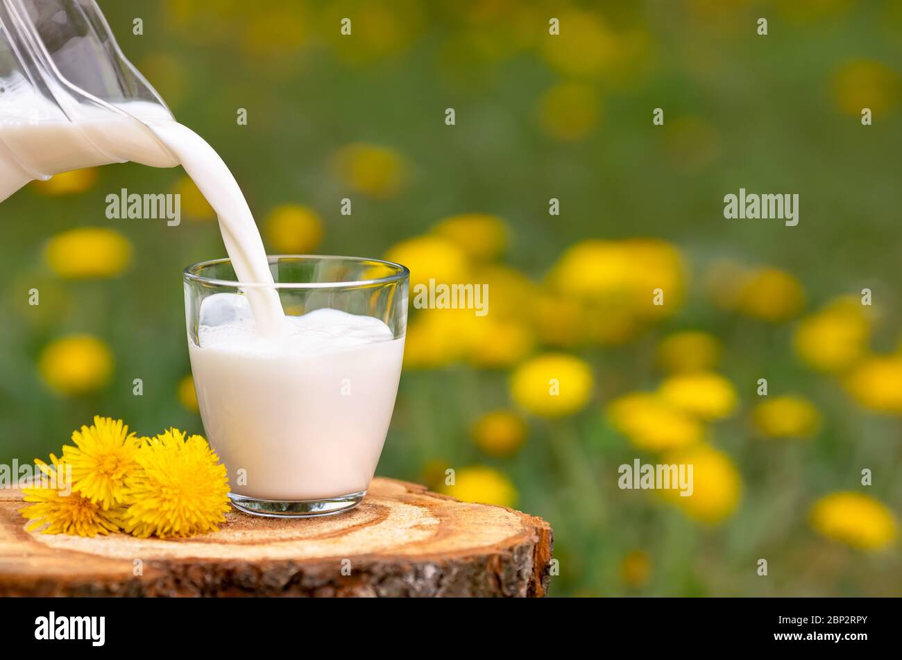 Milch in Glas gießen Stockfoto