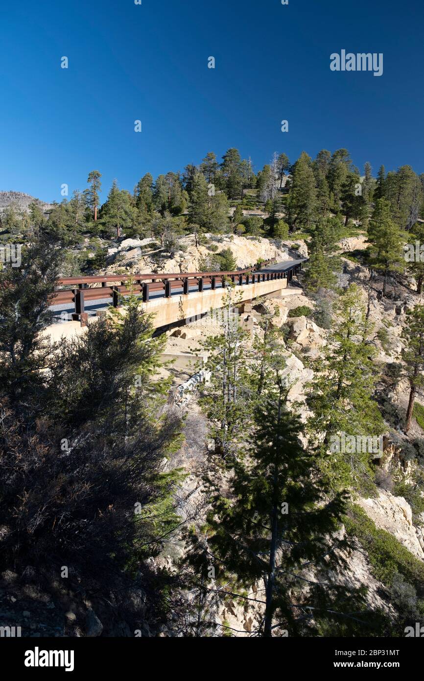 Blick auf die Hell's Backbone Highway Brücke hoch in den Bergen zwischen Boulder und Escalante, Utah Stockfoto