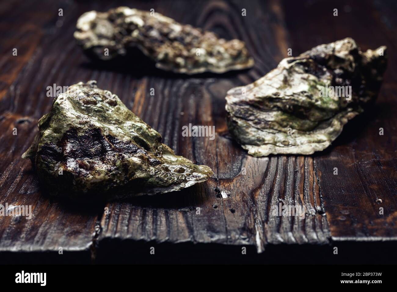 Rohe Auster mit geschlossenen Schalen auf Holztisch. Nahaufnahme. Selektiver Fokus. Stockfoto