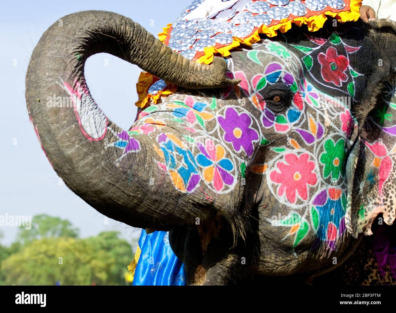 Farbenfroh dekorierter indischer Elefant Stockfoto