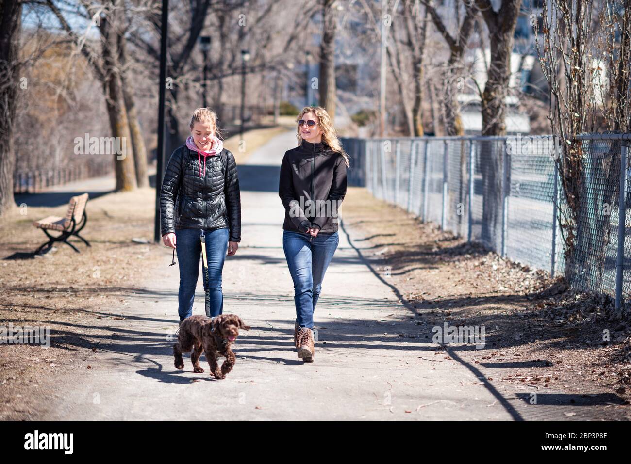 Zwei blonde Freundinnen, die einen Hund spazieren Stockfoto