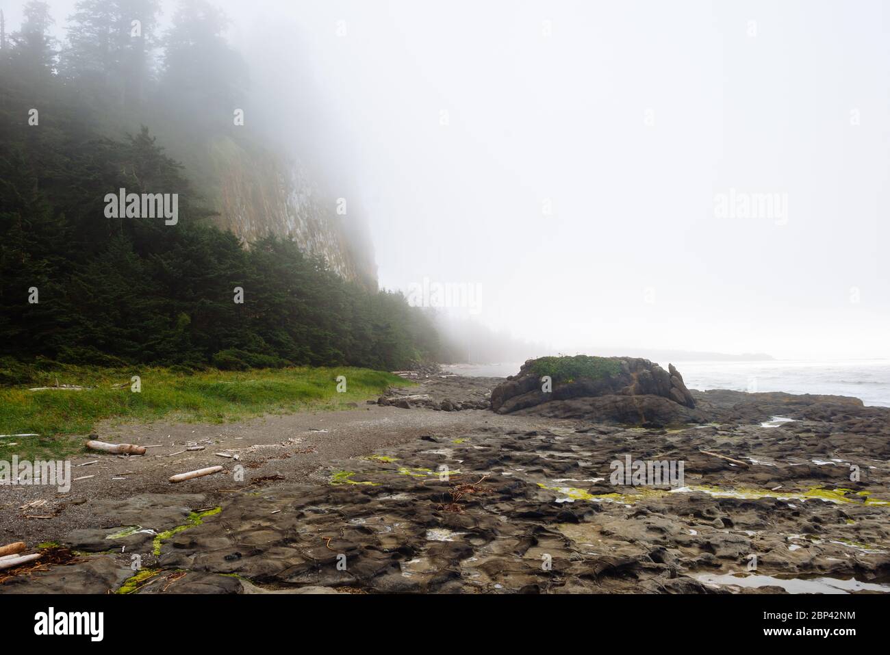 Tow Hill im Naikoon Provincial Park, Haida Gwaii, British Columbia Stockfoto