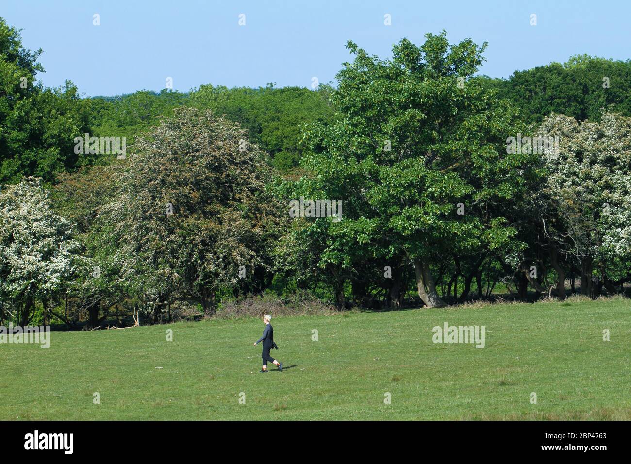 Dagnam Park, Havering, Großbritannien - 07. April 2020: Die Menschen genießen das warme Wetter im Dagnam Park, Havering während der Beobachtung der sozialen Distanz am ersten Wochenende nach der Lockerung der England-weiten COVID 19 Lockdown Restriktionen.die Regierung hat die Öffentlichkeit geraten, zu Hause in ganz Großbritannien wegen der Covid-19 Pandemie zu bleiben, aber für wesentliche Reisen für Grundlagen und Bewegung. Fotos: David Mbiyu/ Alamy Live News Stockfoto Dagnam Park, Havering, Großbritannien - 07. April 2020: Die Menschen genießen das warme Wetter im Dagnam Park, Havering während der Beobachtung der sozialen Distanz am ersten Wochenende nach der Lockerung der England-weiten COVID 19 Lockdown Restriktionen.die Regierung hat die Öffentlichkeit geraten, zu Hause in ganz Großbritannien wegen der Covid-19 Pandemie zu bleiben, aber für wesentliche Reisen für Grundlagen und Bewegung. Fotos: David Mbiyu/ Alamy Live News Stockfoto