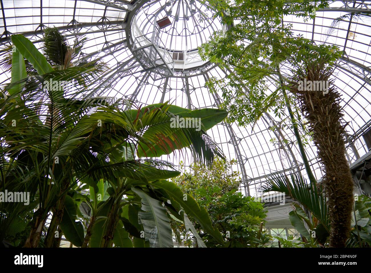 Toronto, Ontario / Kanada - 06/05/2017: Allen Garden - ein öffentlicher Stadtpark mit einem Konservatorium in der Innenstadt von Toronto, Ontario, Kanada Stockfoto