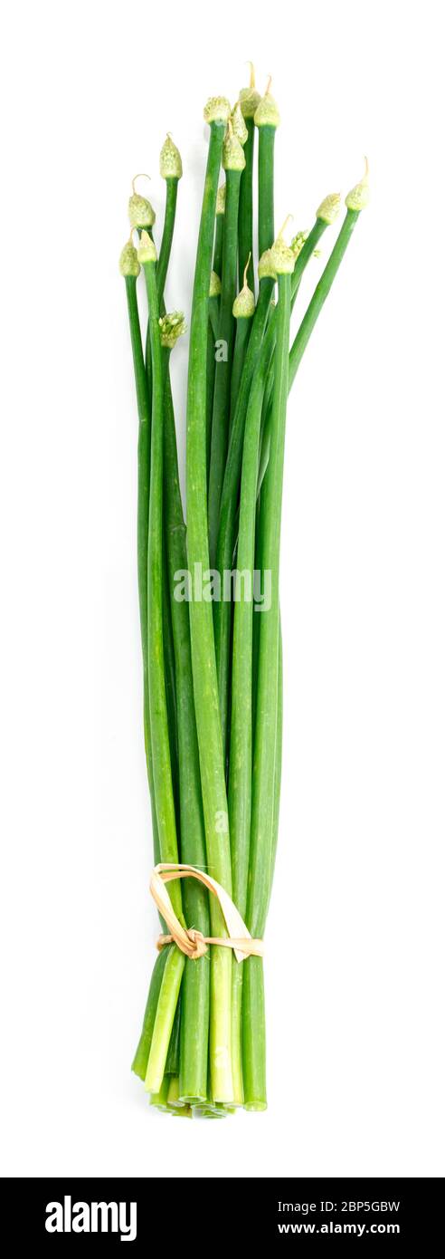 Schnittlauch Blume isoliert auf weißem Hintergrund. Stockfoto