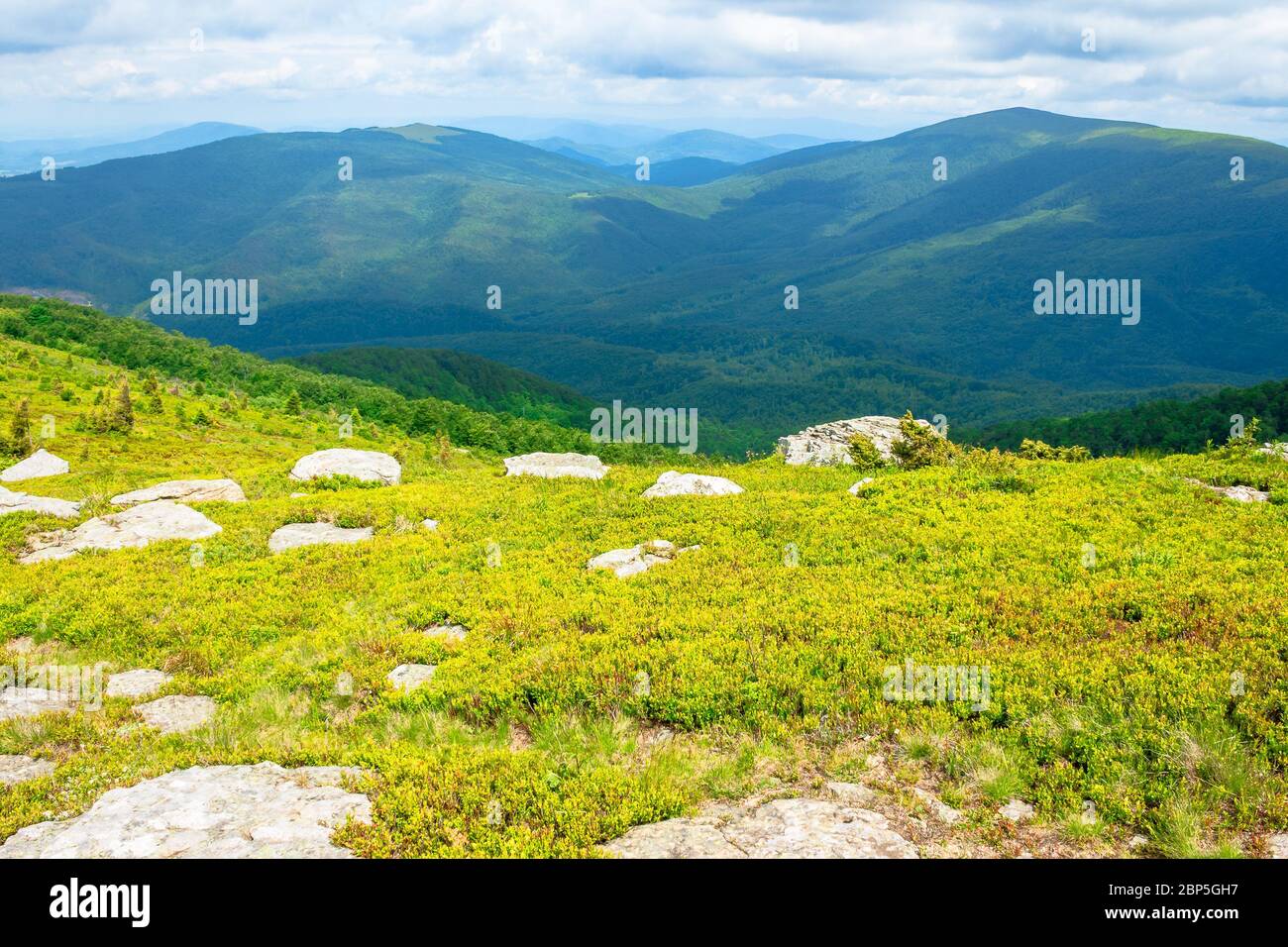 Weiße Felsen am Rande der Almwiese. Frische grüne grasbewachsene Hänge der Berglandschaft im Sommer. Entfernte Bergrücken Rollen in den Horizont. Sonnig w Stockfoto
