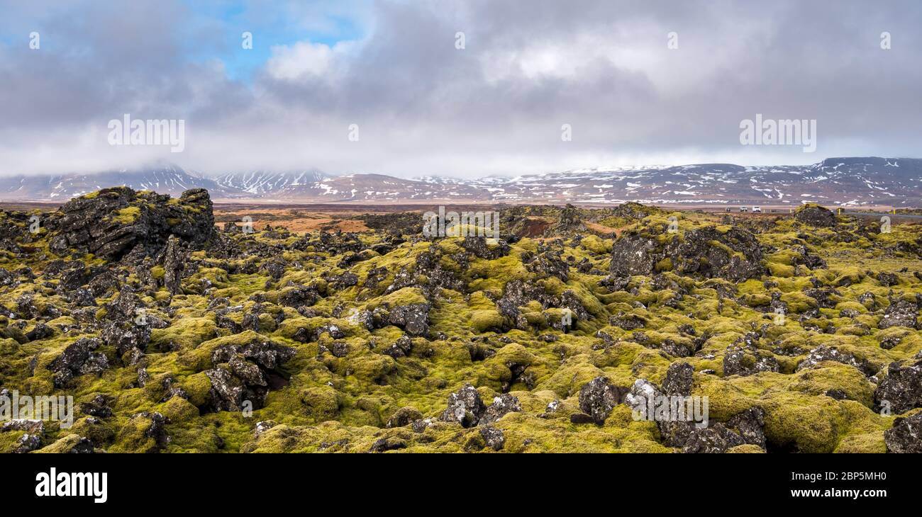 Isländische Landschaft mit Moos und vulkanischen Felsen in snaefellsnes Halbinsel island bedeckt Stockfoto