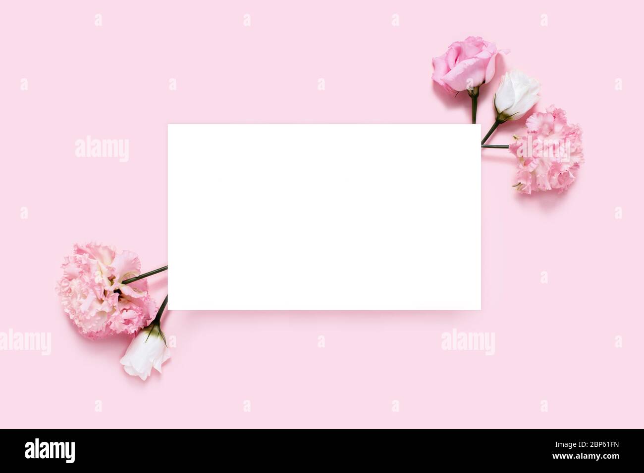 Urlaubskarte. Rosa Hintergrund mit Blatt aus weißem Papier und Blumen. Stockfoto