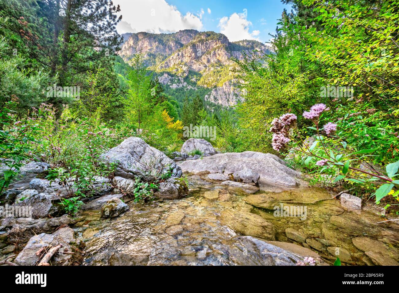 Naturlandschaft mit Bach und Olympus Range. Prionia, Pieria, Griechenland Stockfoto