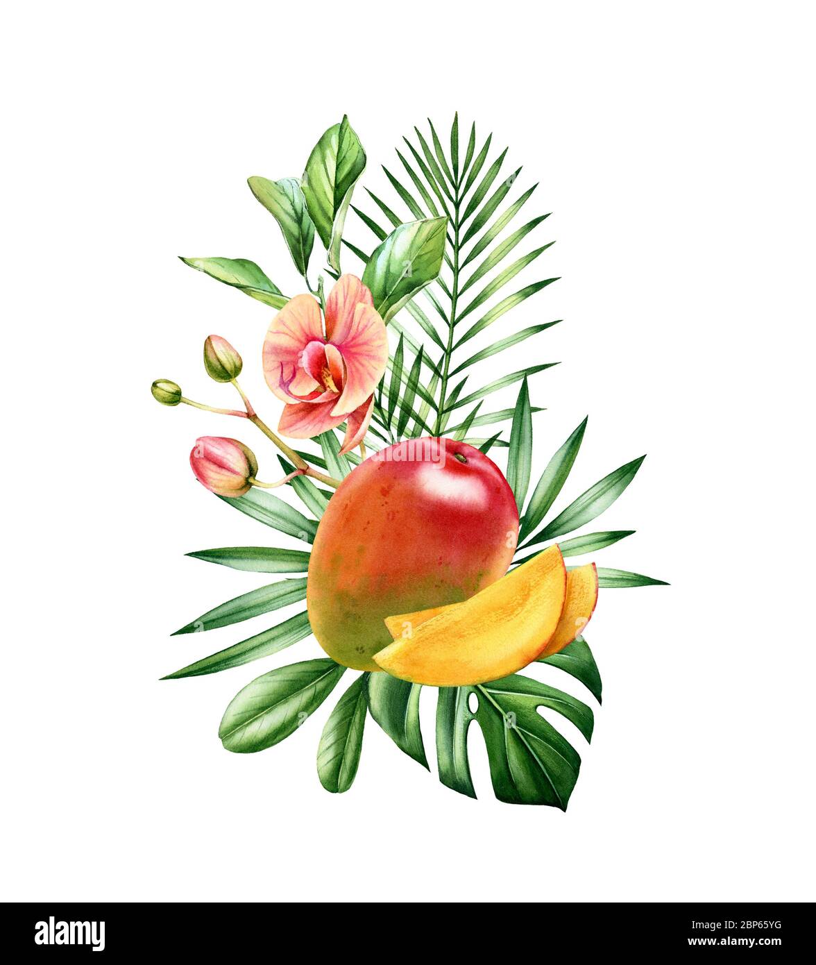 Wasserfarbige Mangofrüchte. Vertikales Bouquet mit saftigen Früchten, tropischen Orchideenblüten und Palmenblättern. Botanische handgezeichnete Illustration für Karten Stockfoto