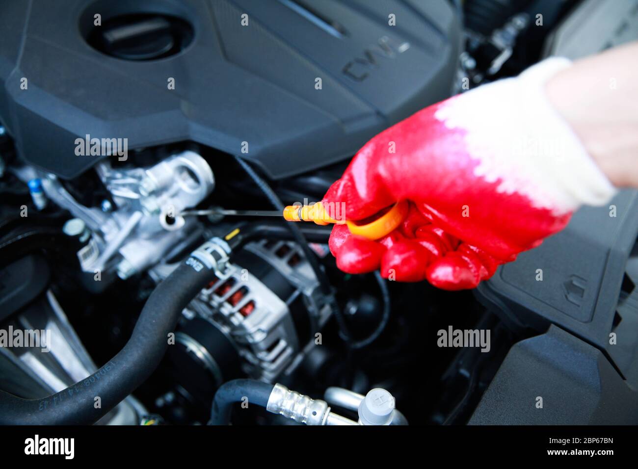 Nahaufnahme der Hand, die mit einem roten Handschuh den Messstab eines Autos zieht. Motoröl Schritt für Schritt prüfen. Stockfoto