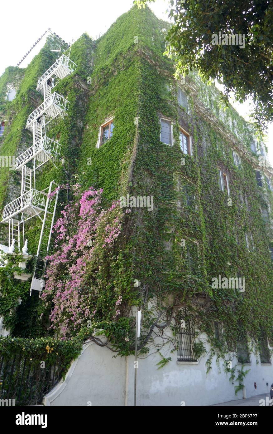 Los Angeles, Kalifornien, USA 17. Mai 2020 EIN allgemeiner Blick auf die Atmosphäre der Villa Bonita, die Cecil B. DeMille für Besetzung und Crew in seinen Filmen gebaut hat, und ehemalige Residenz von Errol Flynn und Francis Ford Copolla in der Hillcrest Road 1817 am 17. Mai 2020 in Los Angeles, Kalifornien, USA. Foto von Barry King/Alamy Stock Photo Stockfoto
