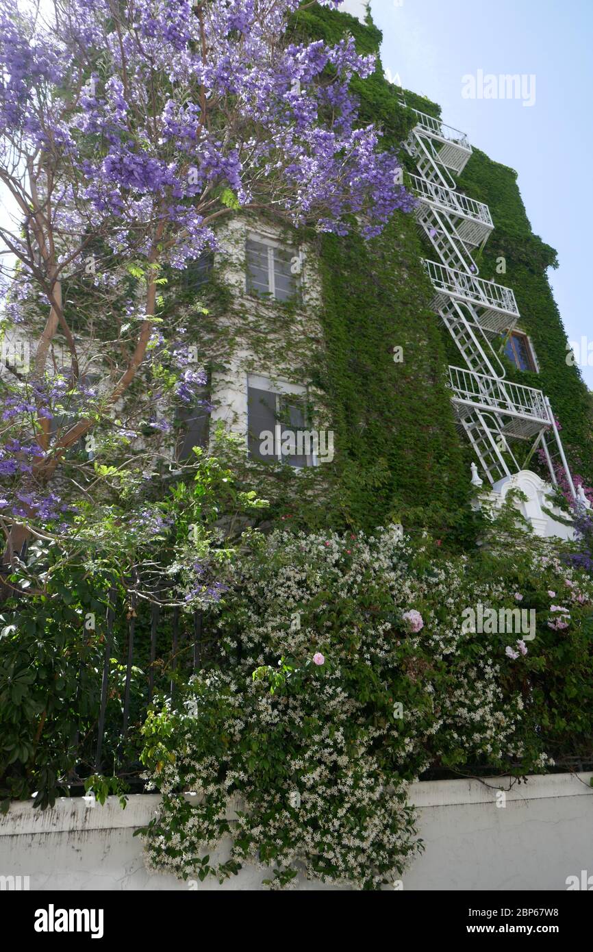 Los Angeles, Kalifornien, USA 17. Mai 2020 EIN allgemeiner Blick auf die Atmosphäre der Villa Bonita, die Cecil B. DeMille für Besetzung und Crew in seinen Filmen gebaut hat, und ehemalige Residenz von Errol Flynn und Francis Ford Copolla in der Hillcrest Road 1817 am 17. Mai 2020 in Los Angeles, Kalifornien, USA. Foto von Barry King/Alamy Stock Photo Stockfoto