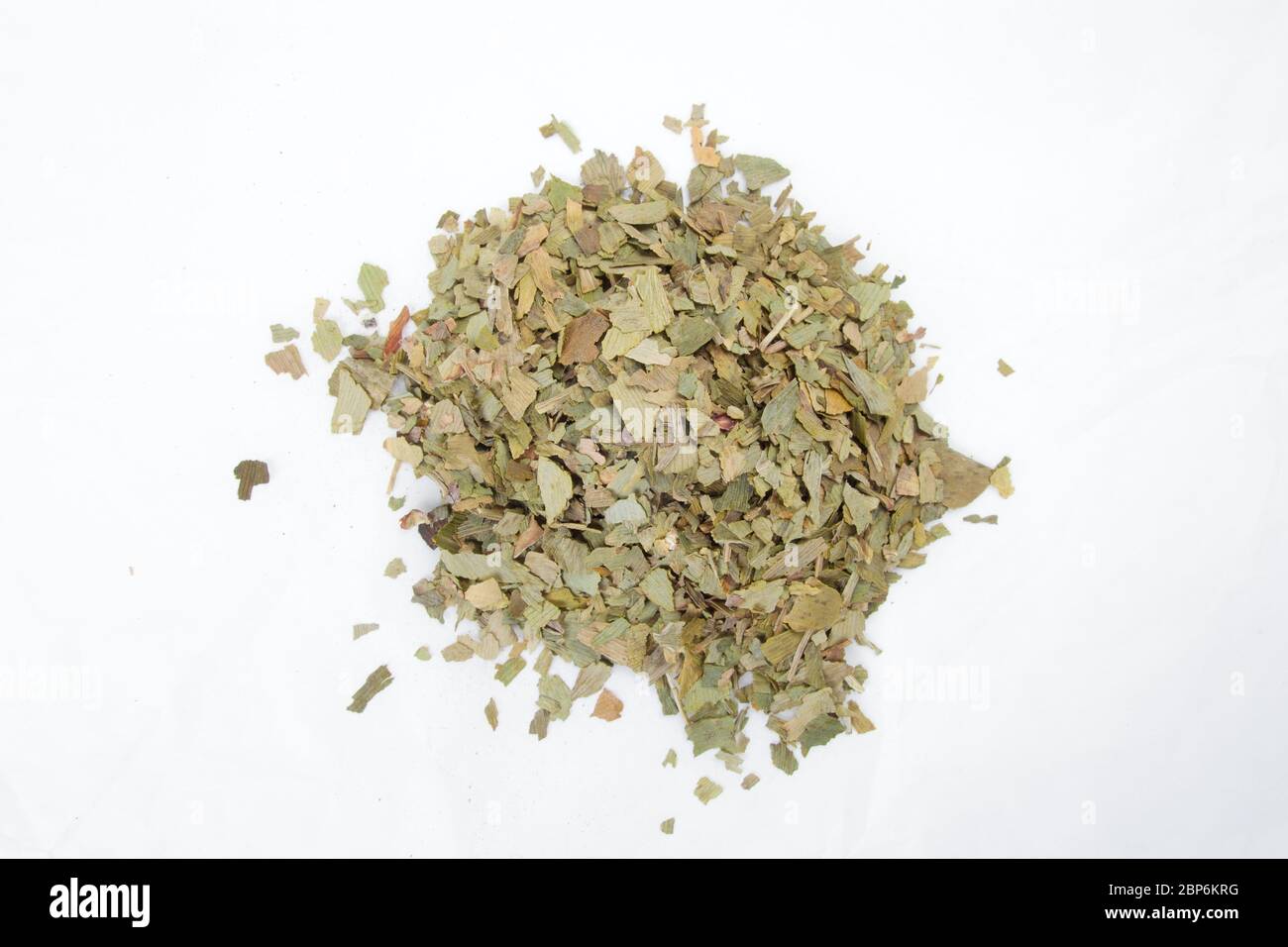 Chinesische Kräuter gesunde natürliche Tee Ginkgo Biloba Stockfoto