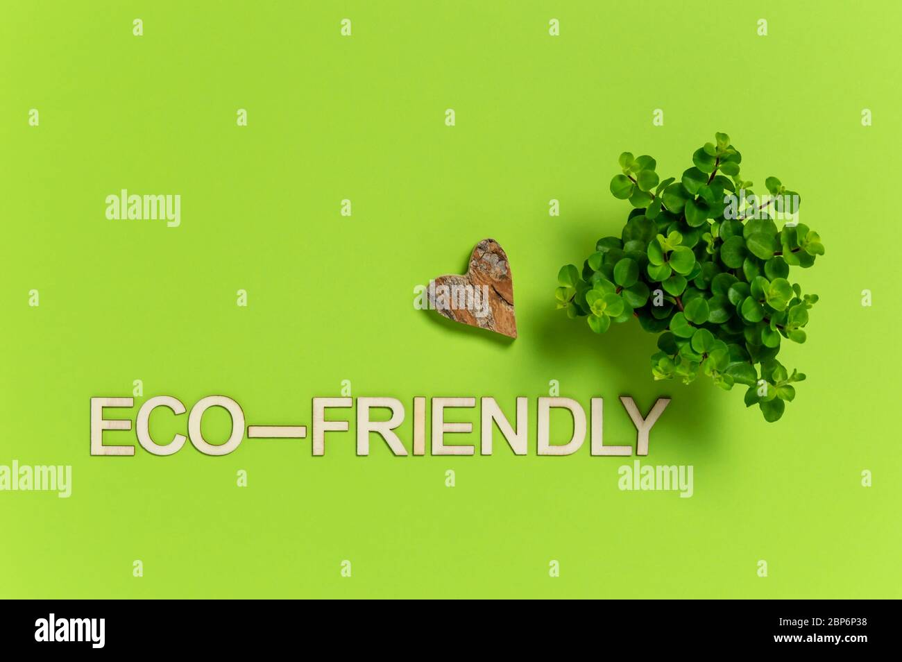 Wort umweltfreundlich mit Holzbuchstaben, Herz und kleine Hauspflanze auf grünem Hintergrund gemacht. Nachhaltiges Umwelt- und Ökologie-Konzept wi Stockfoto