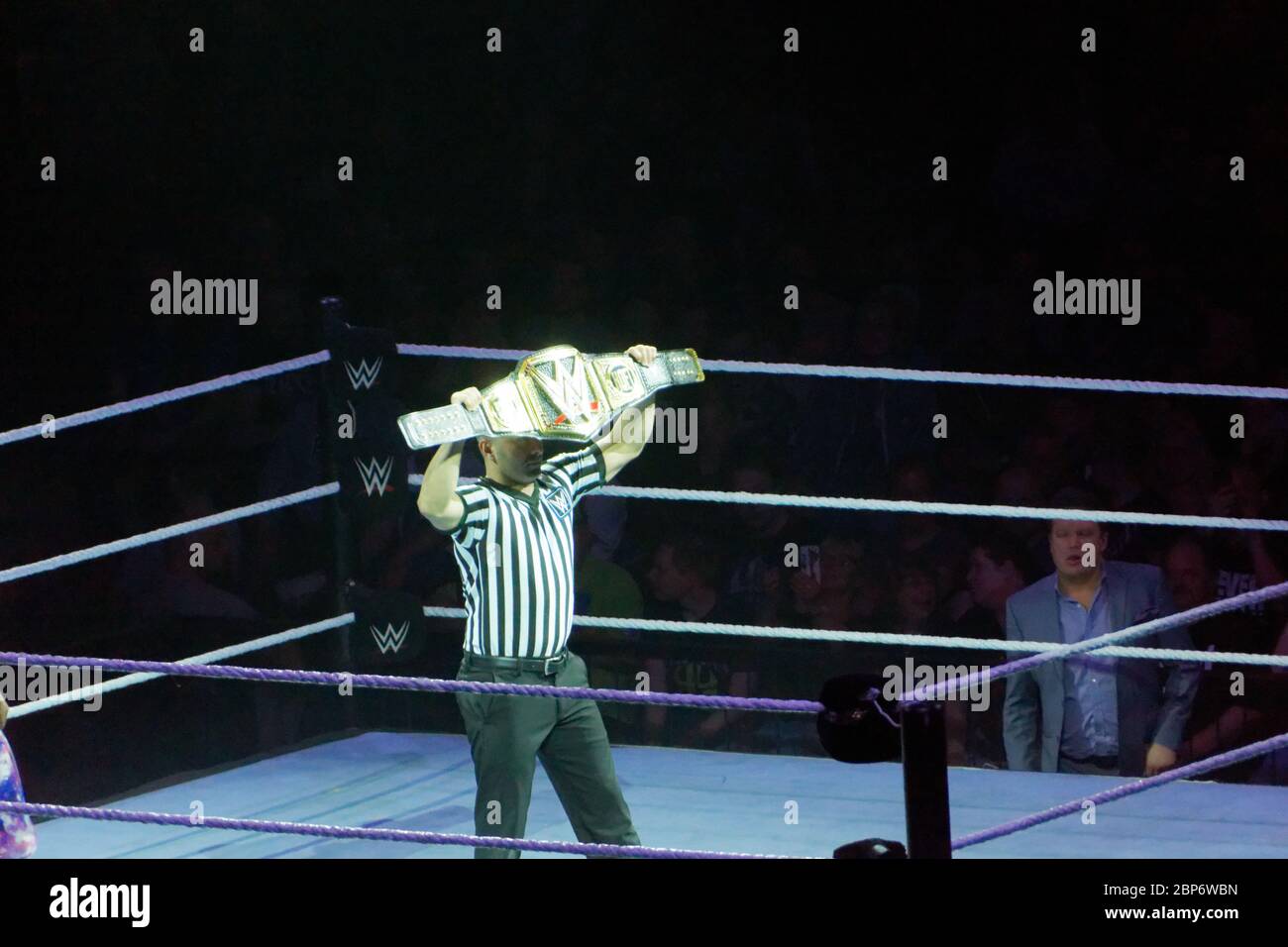 Das WWE Live Event 'SmackDown Live' in Hamburg Stockfoto