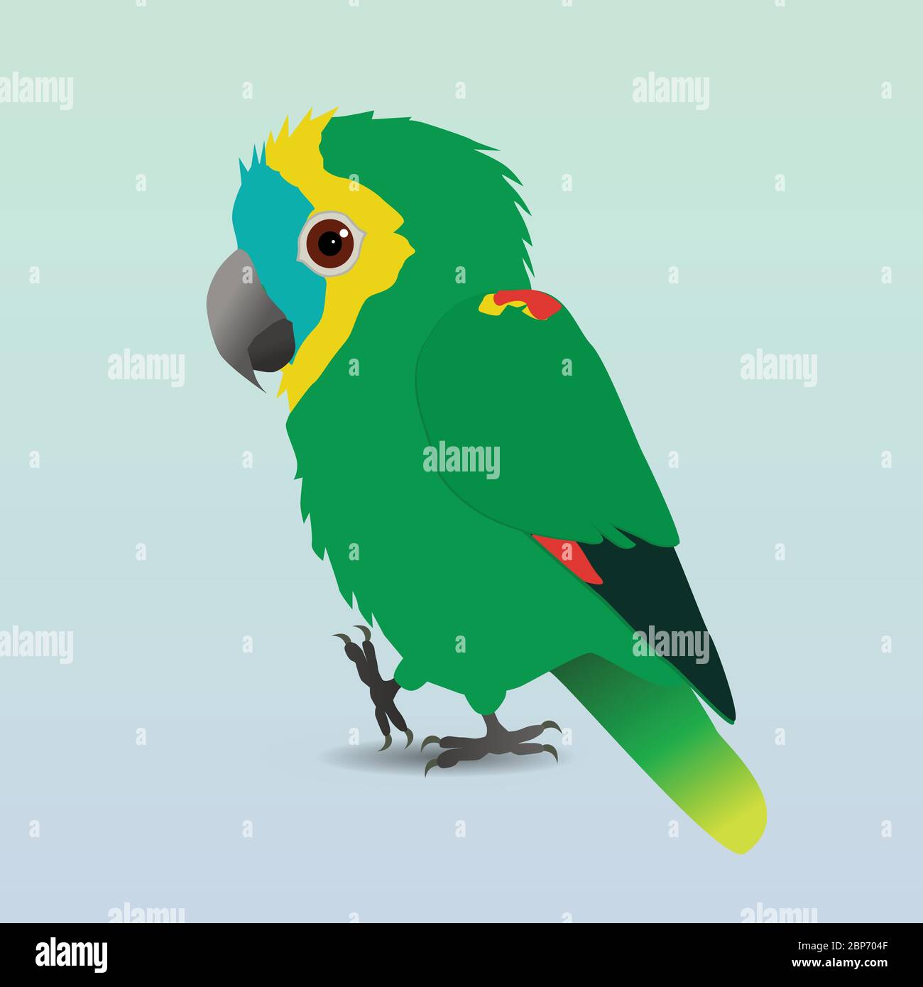 Eine digitale Vektorzeichnung eines niedlichen amazonas-Papageiens mit Türkis-Fassade. Er hält eine Pfote hoch Stock Vektor