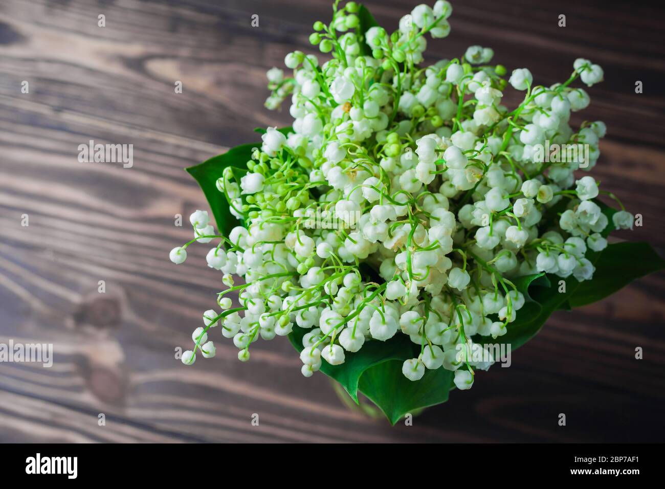 Maiglöckchen Blumen, auf Holzhintergrund. Selektiver Fokus Stockfoto