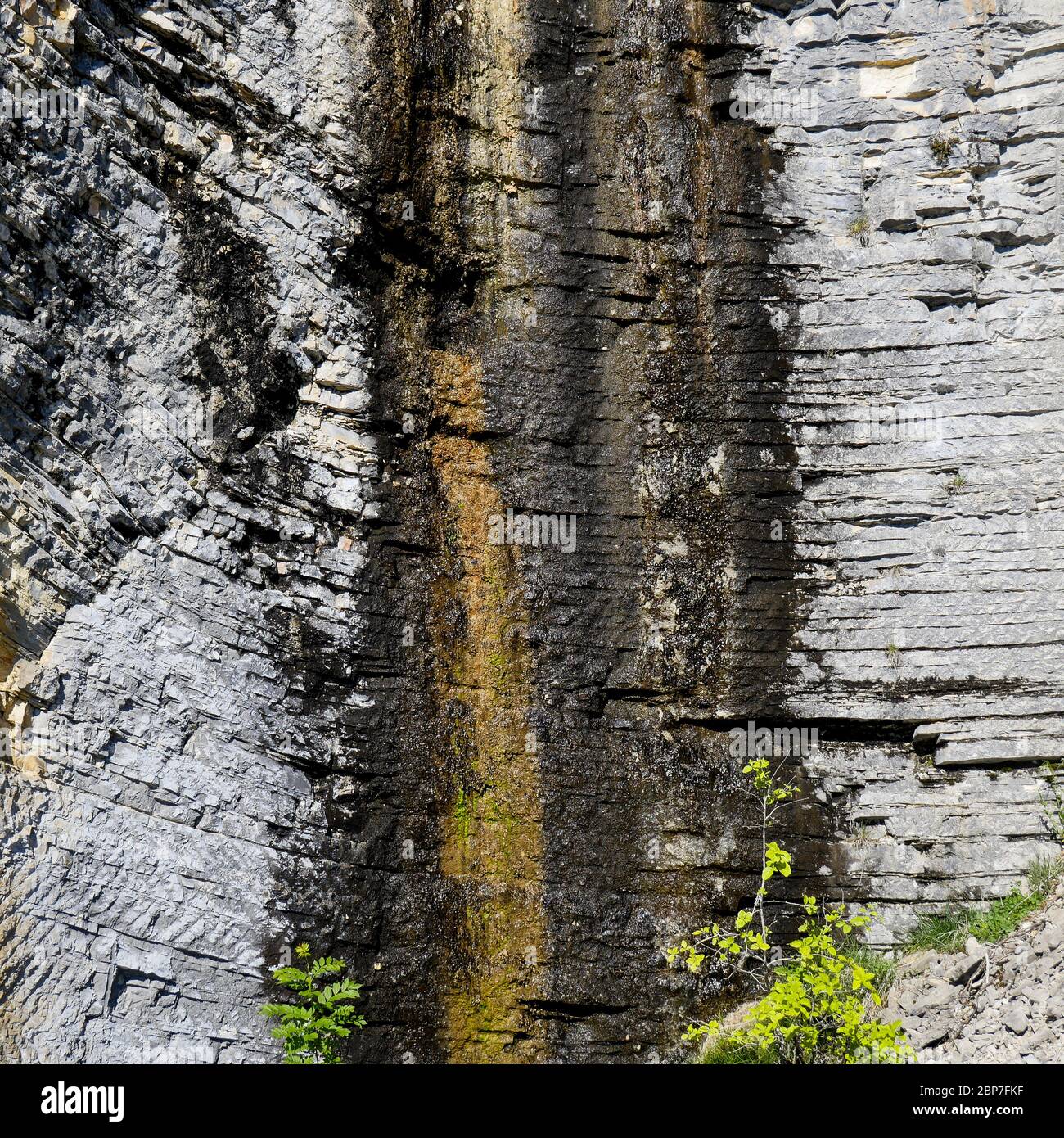 Steinstratas, Steinquerry, Cerin, Bugey Massif, Ain, Frankreich Stockfoto