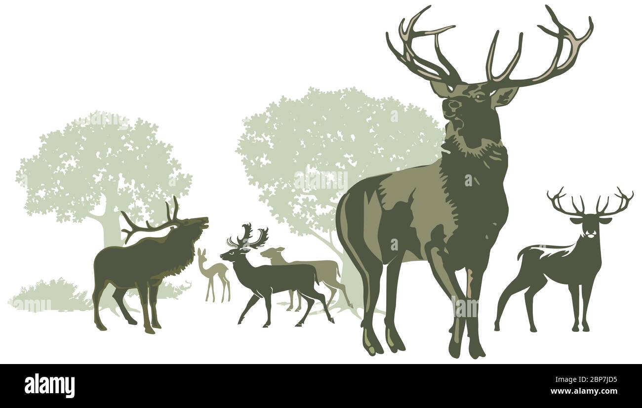 Hirsch-Pack mit Geweih Silhouetten - Illustration Stock Vektor