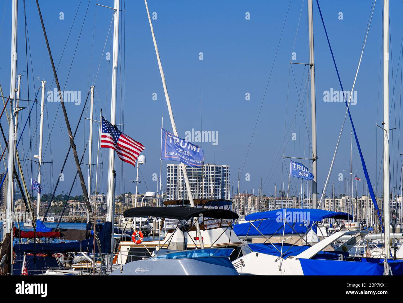 Trump Flaggen Über Yachten Stockfoto