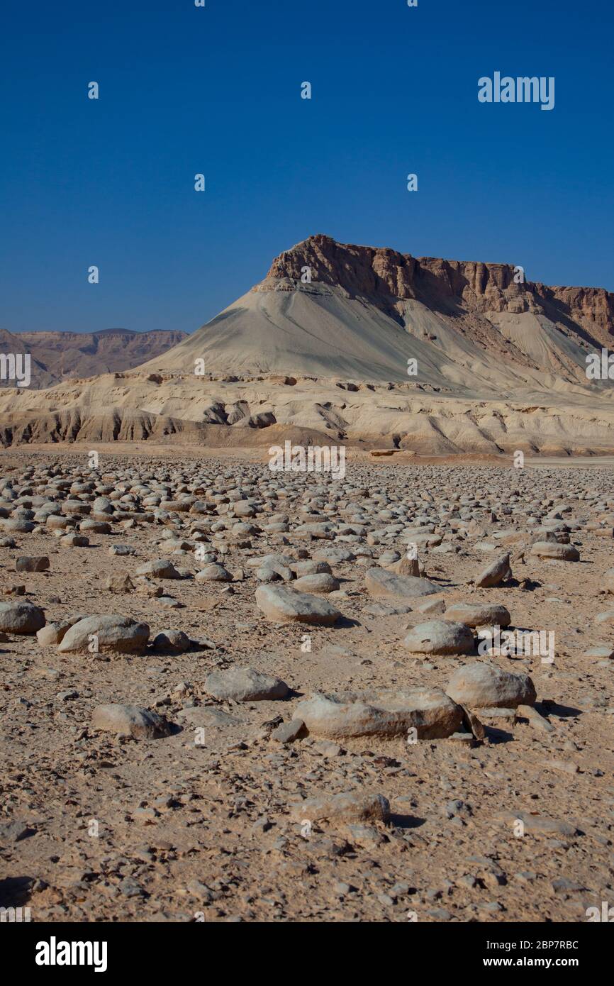 Israel, Negev Wüstenlandschaft. Das Bulbus Felde vor dem Mount Zin. Bulbus ist ein arabischer Name für Kartoffeln. Diese kartoffelförmigen Felsen sind foun Stockfoto