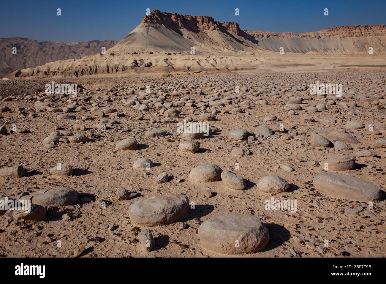 Israel, Negev Wüstenlandschaft. Das Bulbus Felde vor dem Mount Zin. Bulbus ist ein arabischer Name für Kartoffeln. Diese kartoffelförmigen Felsen sind foun Stockfoto