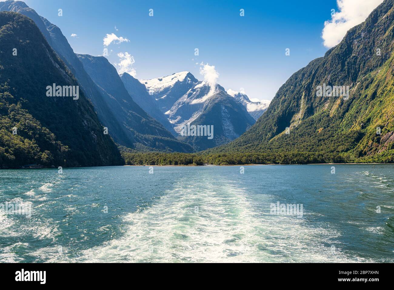 Das wunderschöne Land des Milford Sound auf der Südinsel Neuseelands. Stockfoto