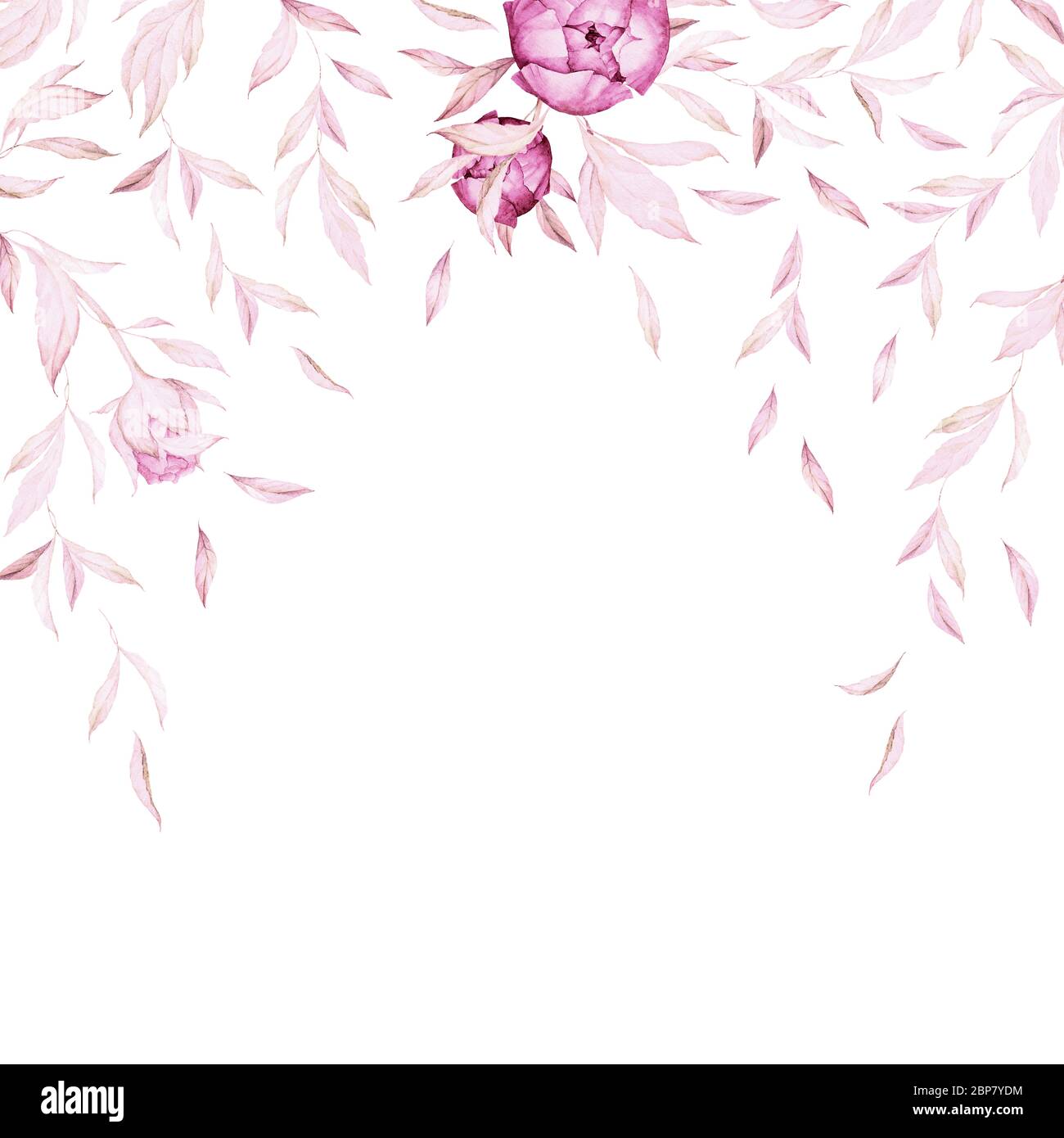 Pink Watercolor Rose Stockfotos Und Bilder Kaufen Seite 3 Alamy