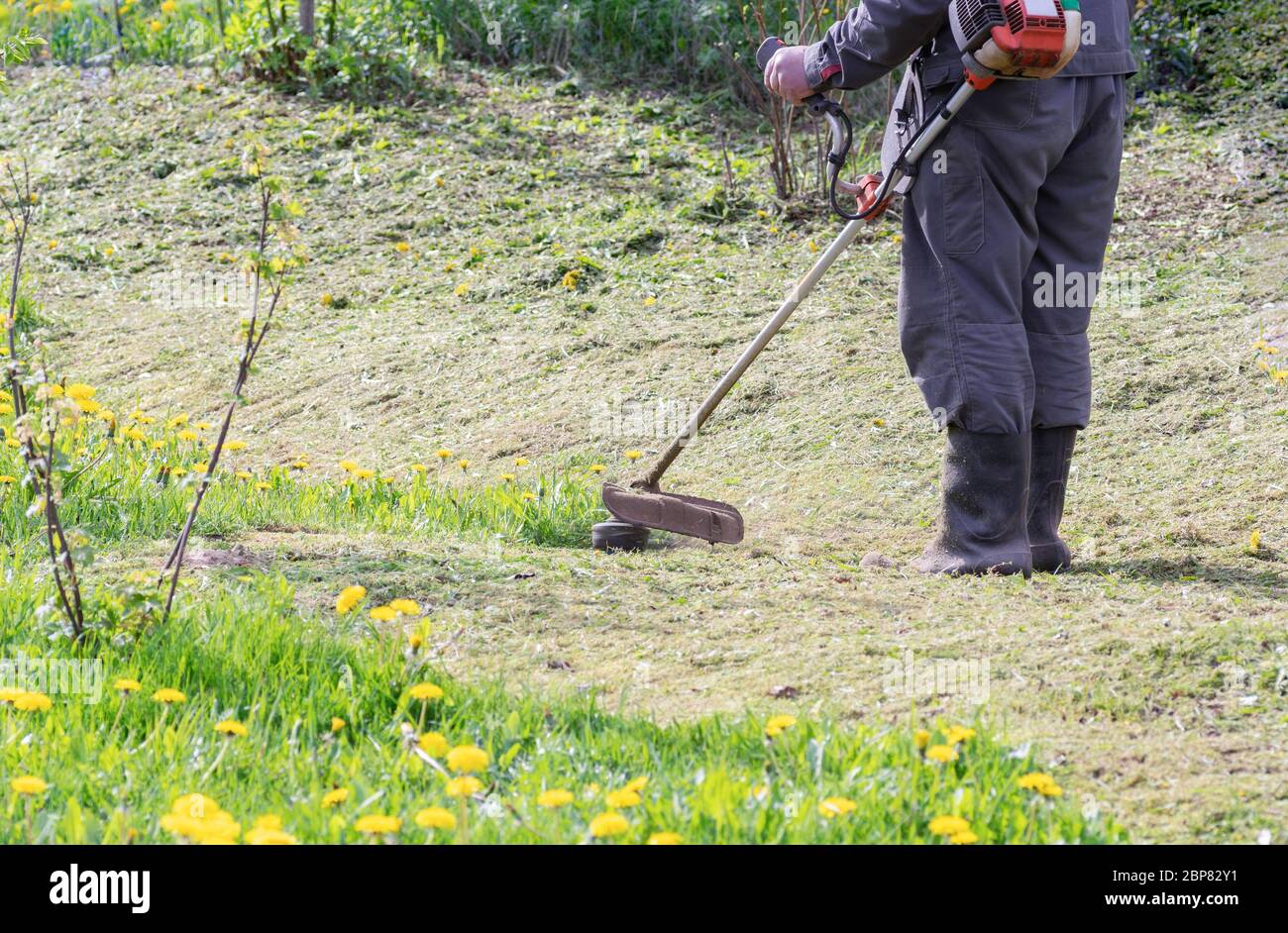 Bauer mäht Gras im Frühlingsgarten. Das Konzept der Pflege für eine persönliche Handlung. Arbeiten Sie mit einem Gartenschneider. Stockfoto