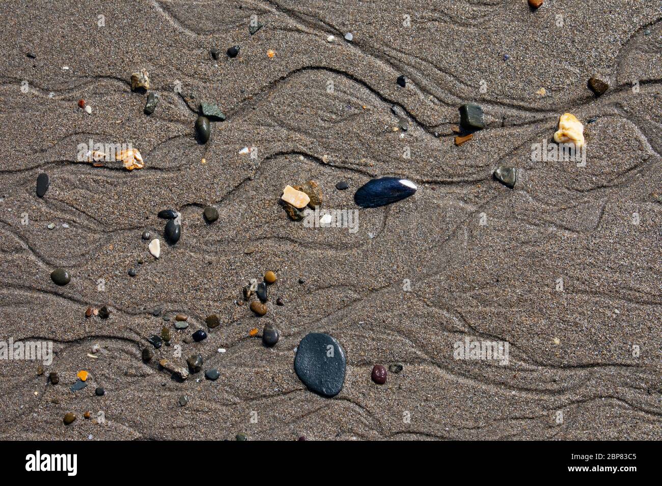 Kieselsteine im Sand Stockfoto