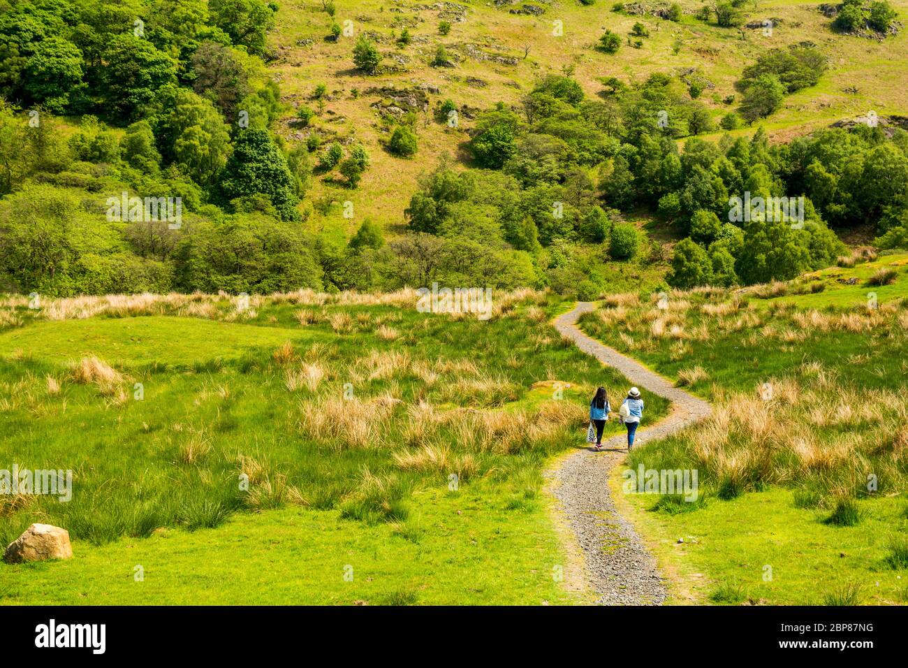 Zwei Frauen, die auf dem Fußweg zwischen dem Grasland spazieren. Grasland-Wanderweg mit zwei Wanderern an einem hellen sonnigen Tag. Stockfoto