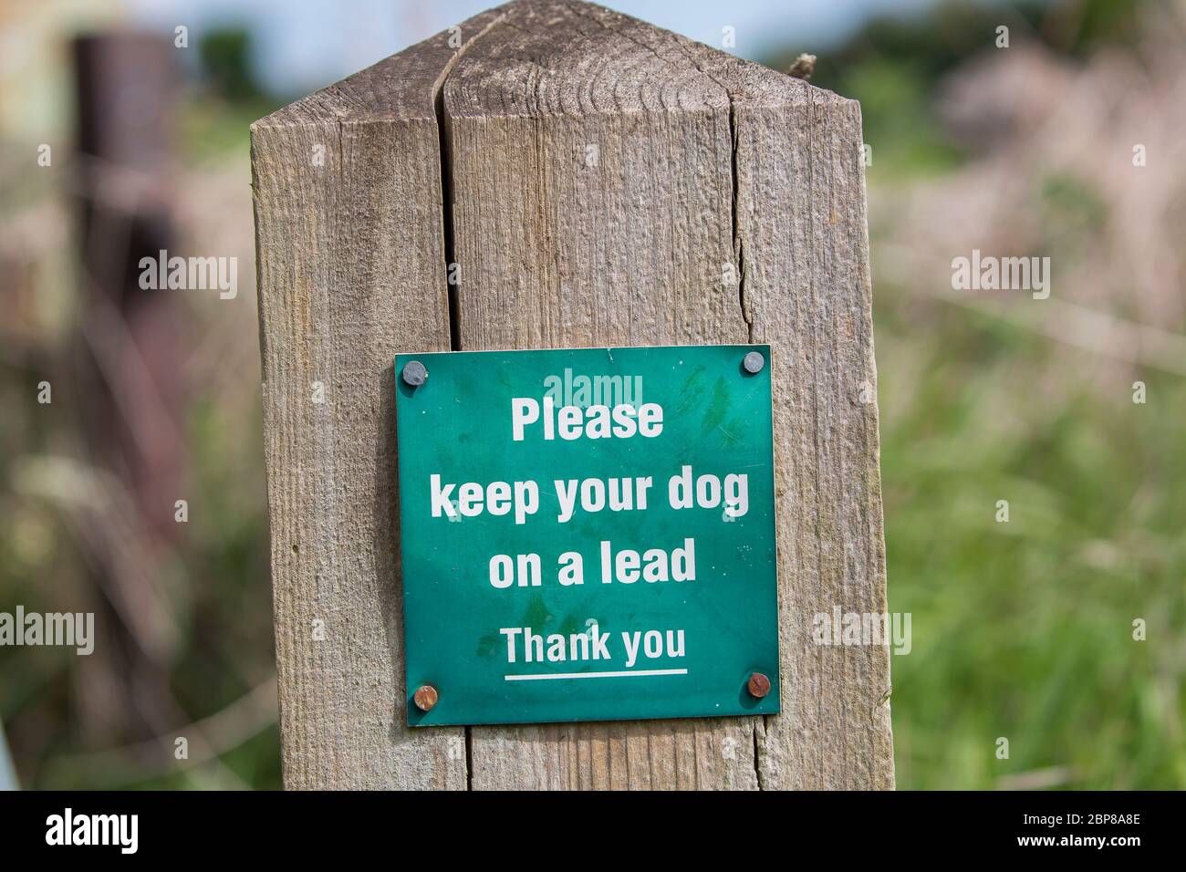 Sign on post to Dog owners, Hinweis, um ihren Hund an der Leine zu halten, wenn auf dem Land, Großbritannien. Landschaftliches Kodex, Konzept der Verantwortung. Stockfoto