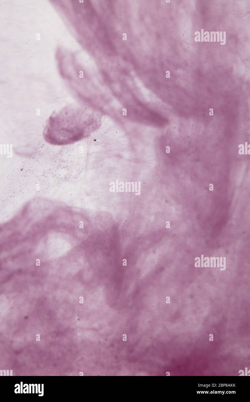 Ein schönes Bild von einer bunten rosa Flüssigkeit, die in Wasser, abstraktes Muster vermischt Stockfoto