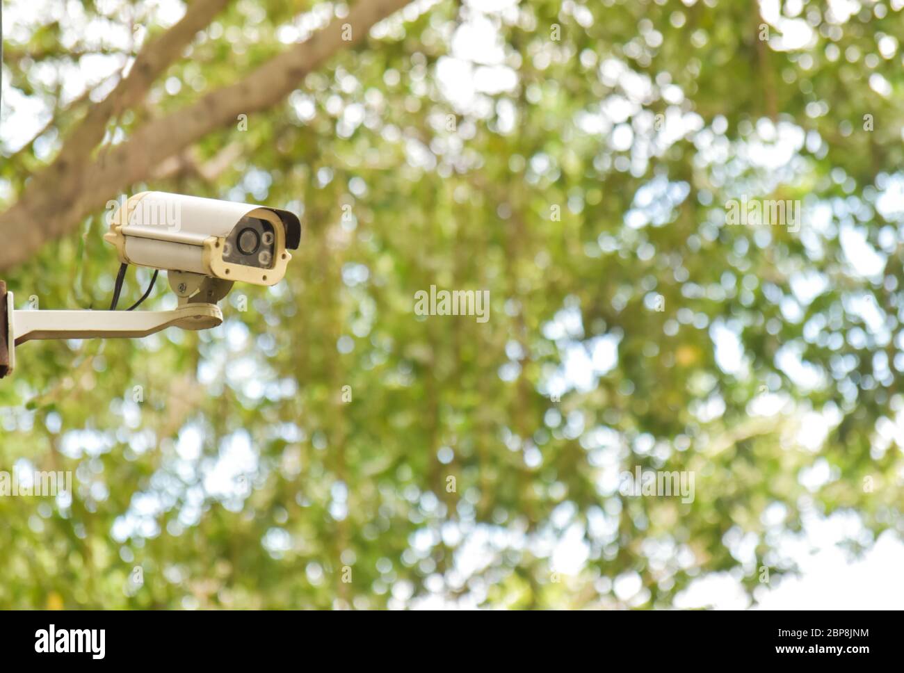 Kamera mit geschlossenem Stromkreis auf dem grünen Bokeh-Hintergrund Stockfoto