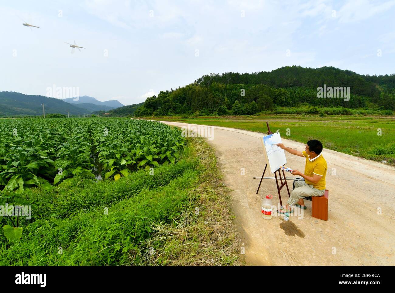 (200518) -- PEKING, 18. Mai 2020 (Xinhua) -- Lin Fusheng arbeitet an einem Gemälde an einer Straße, die zum Dorf Hualian der Gemeinde Huashan im Bezirk Lichuan, der östlichen Provinz Jiangxi, führt, 16. Mai 2019. Lin leidet an körperlicher Behinderung wegen kindlichen Lähmungen. Als Lichuan County Zeuge einer raschen Entwicklung der Ölmalerei Industrie im Jahr 2013, kehrte Lin in seine Heimatstadt und wurde ein professioneller Maler mit Hilfe der lokalen Regierung. Jetzt hat Lin die Armut abgeschüttelt und besitzt ein Atelier in einem Ölgemälde kreativen Industriepark. Mehr als 93 Millionen Menschen auf dem Land in China schüttelten pove ab Stockfoto