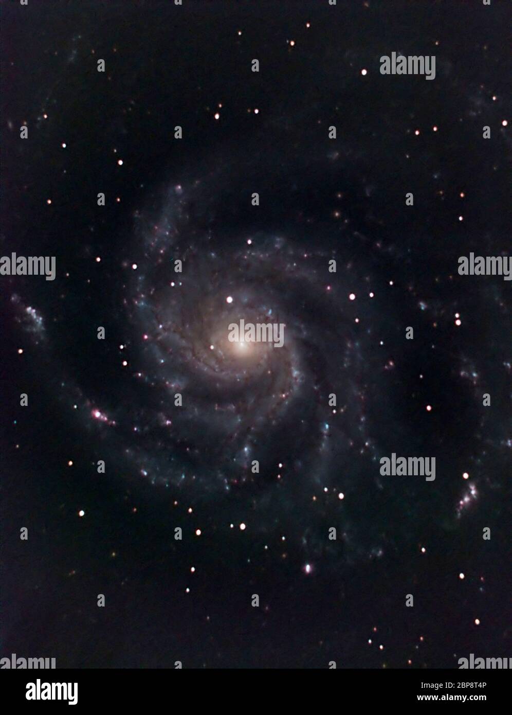 M101 Spiralgalaxie Pinwheel in Ursa Major, 17.5 Millionen Lichtjahre entfernt, 48 Minuten Belichtung mit astronomischer Kamera Stockfoto