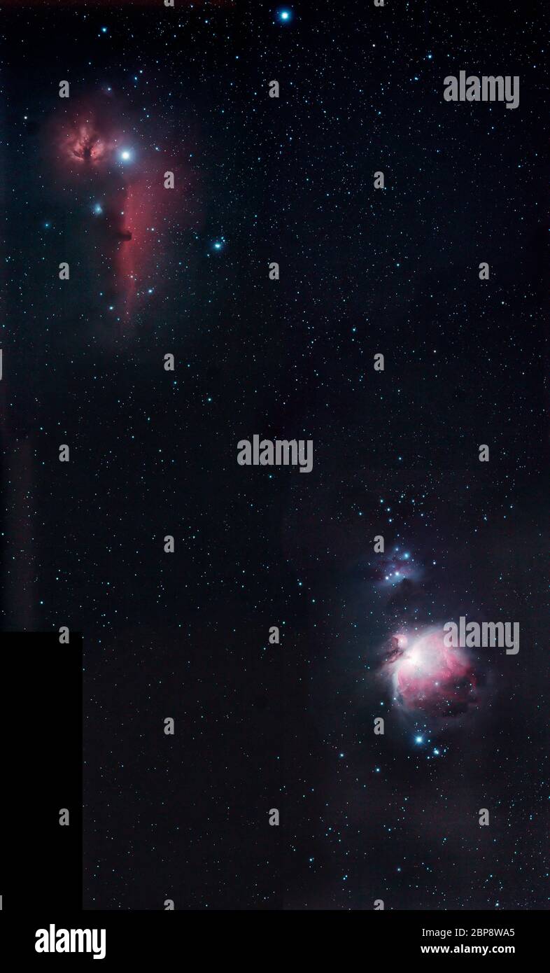 Mosaik-Weitfeldansicht des Pferdekopfnebels und des Großen Nebels In Orion mit zwei Sternen des Orions Belt Oben im Bild Stockfoto