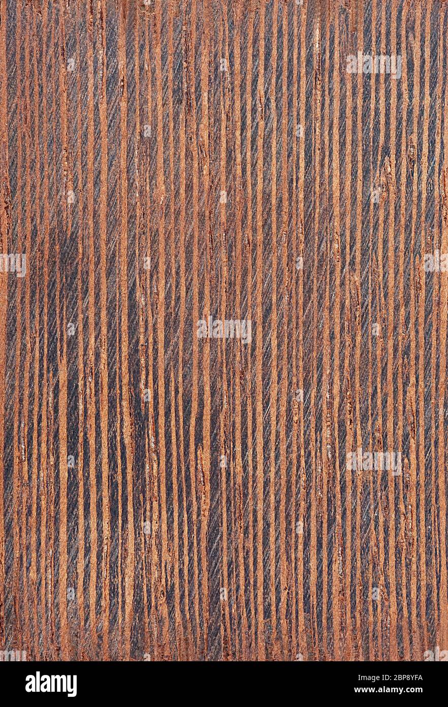 Senna siamea, Siam Cassia, kassod Tree, Baum, cassia treewood cassod strukturierten Hintergrund Stockfoto