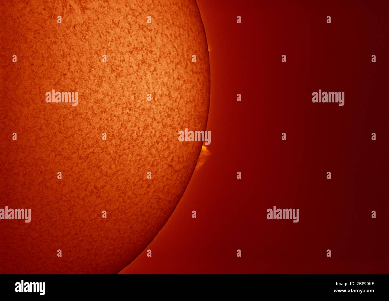 Prominenzen am Sonnenrand fotografiert in Schmalband Hydrogen alpha (H alpha) 3.4.2008 Stockfoto