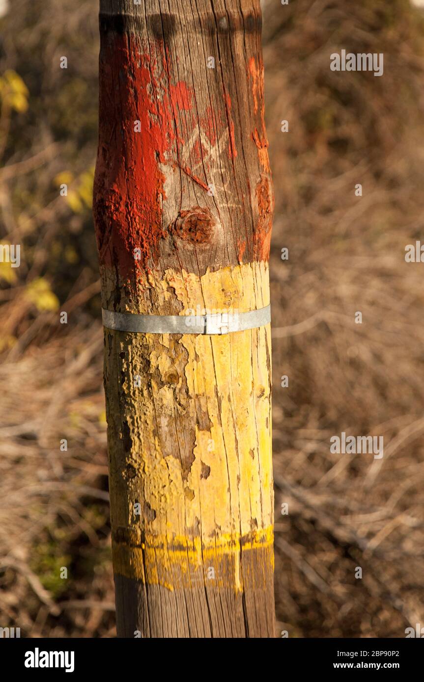 Alte abblätternde gelbe und rote Farbe auf Holzmast mit Metallband um ihn herum. Aufnahme bei Sonnenlicht Stockfoto