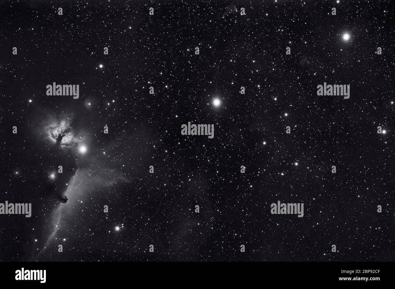 Orions Belt und der Pferdekopfnebel, fotografiert in monochromer Schmalband aus London, Großbritannien Stockfoto