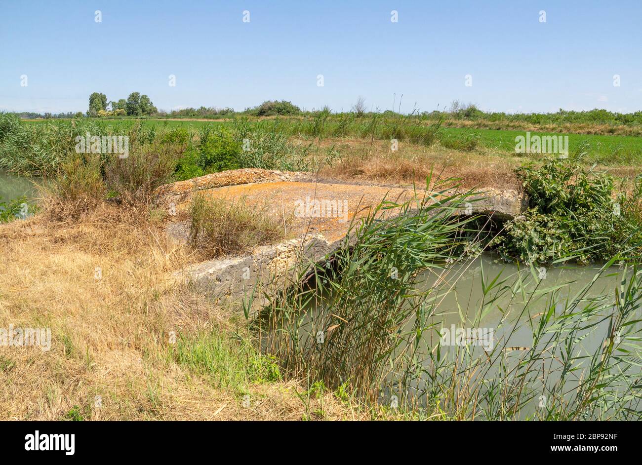 Sonnigen ufer Landschaft einschließlich einer kleinen Brücke in einer natürlichen Region Camargue im Süden Frankreichs Stockfoto