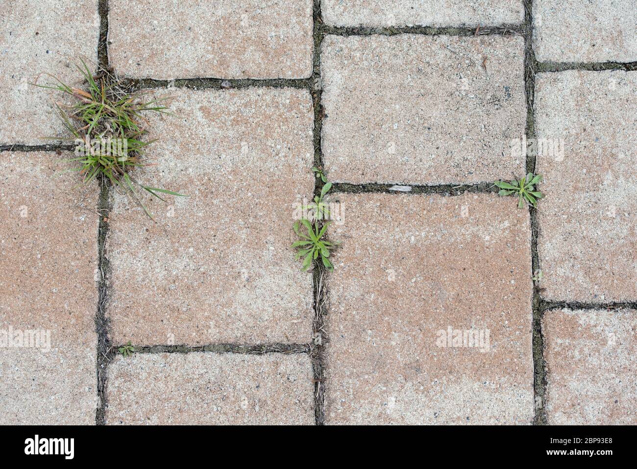 Sett Straße - Struktur Textur, Hintergrund Stockfoto